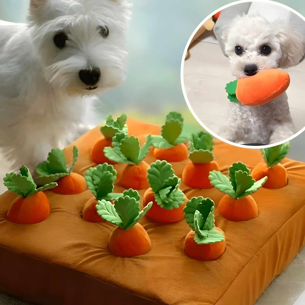 Tapis de jeu potager avec carottes à dénicher pour chien