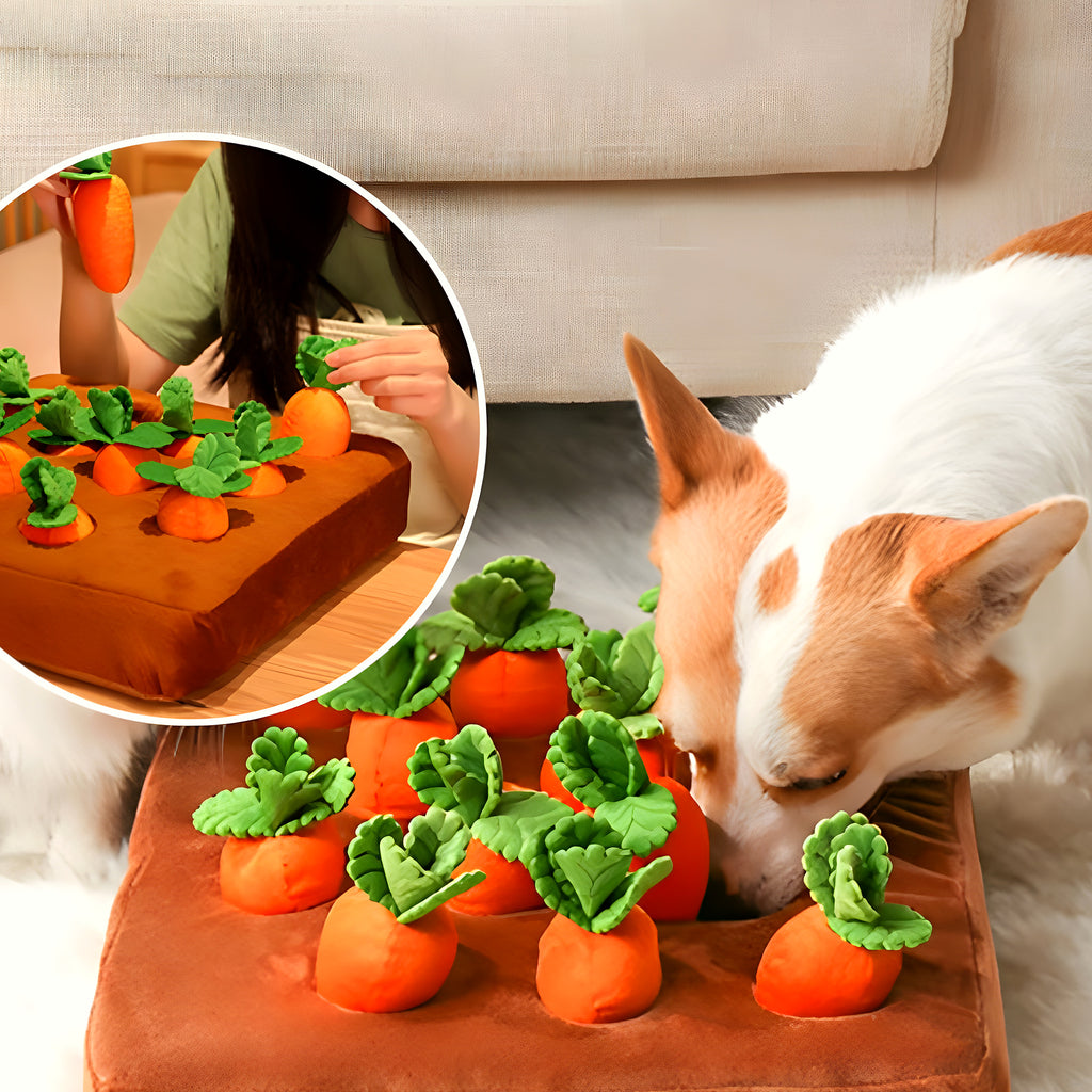 Tapis de jeu potager avec carottes à dénicher pour chien