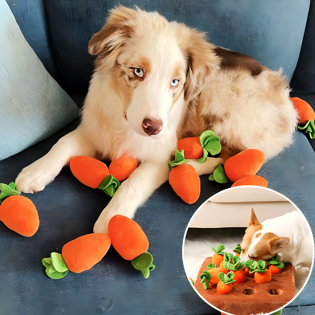 Tapis de jeu potager avec carottes à dénicher pour chien