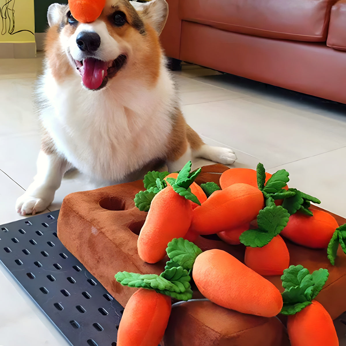 Tapis de jeu potager avec carottes à dénicher pour chien