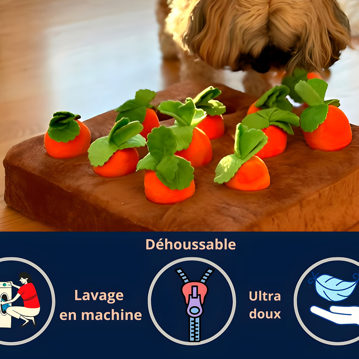 Tapis de jeu potager avec carottes à dénicher pour chien