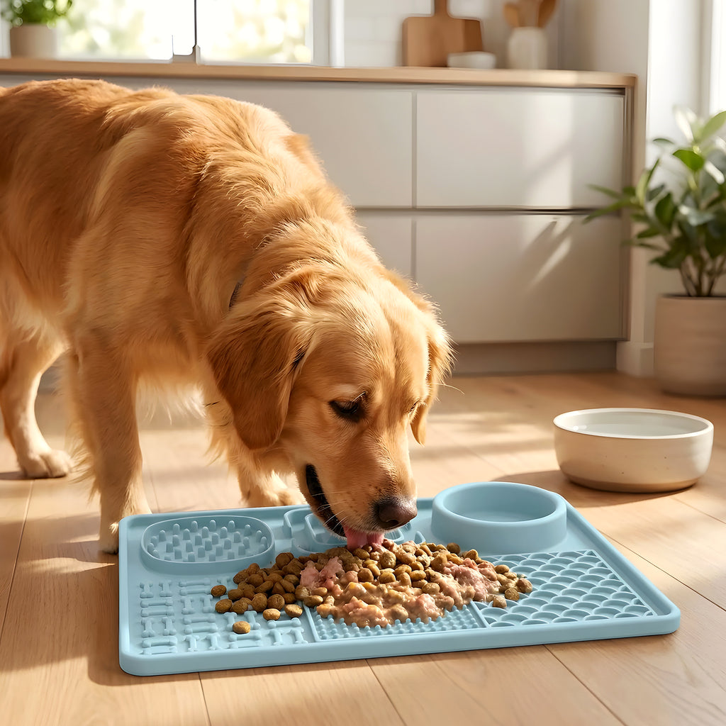 Tapis de léchage anti-glouton 6 compartiments pour chien