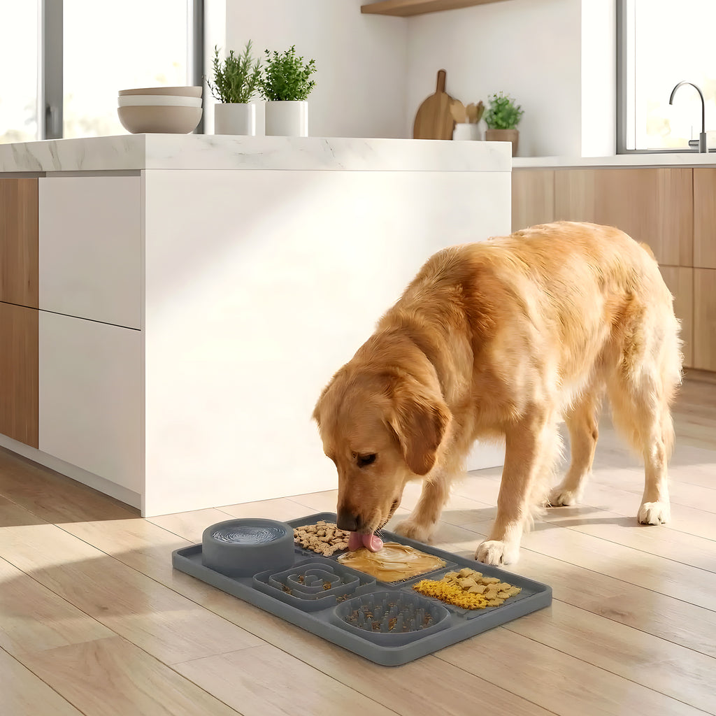 Tapis de léchage anti-glouton 6 compartiments pour chien
