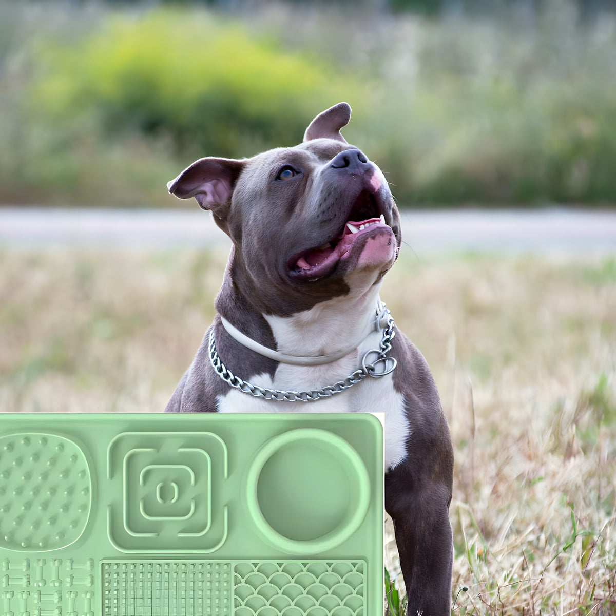 Tapis de léchage anti-glouton 6 compartiments pour chien