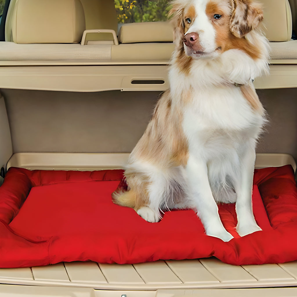 Tapis de voyage imperméable 90 x 60 cm pour chien