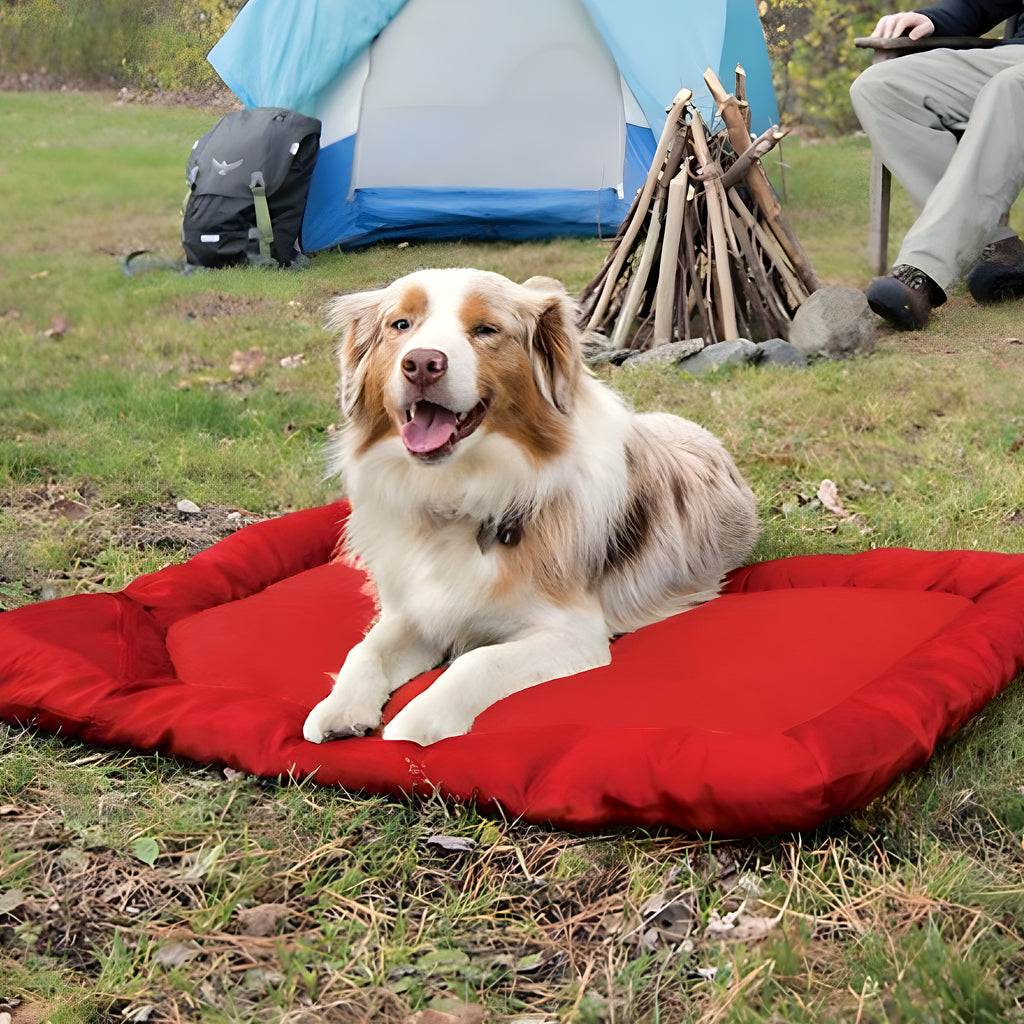 Tapis de voyage imperméable 90 x 60 cm pour chien