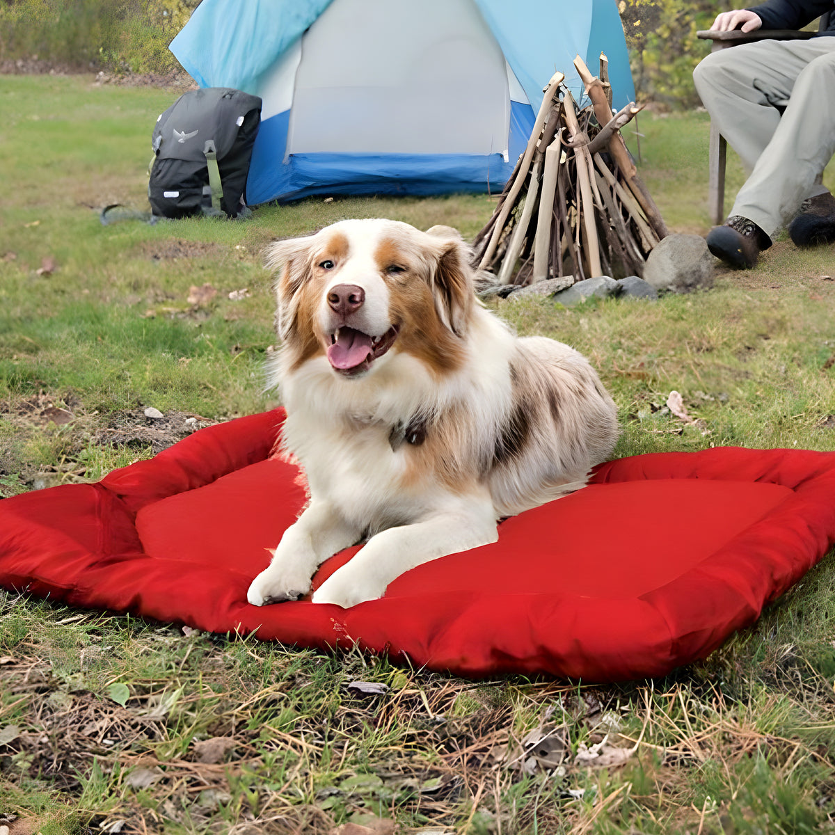 Tapis de voyage imperméable 90 x 60 cm pour chien