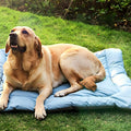 Tapis de voyage imperméable 90 x 60 cm pour chien