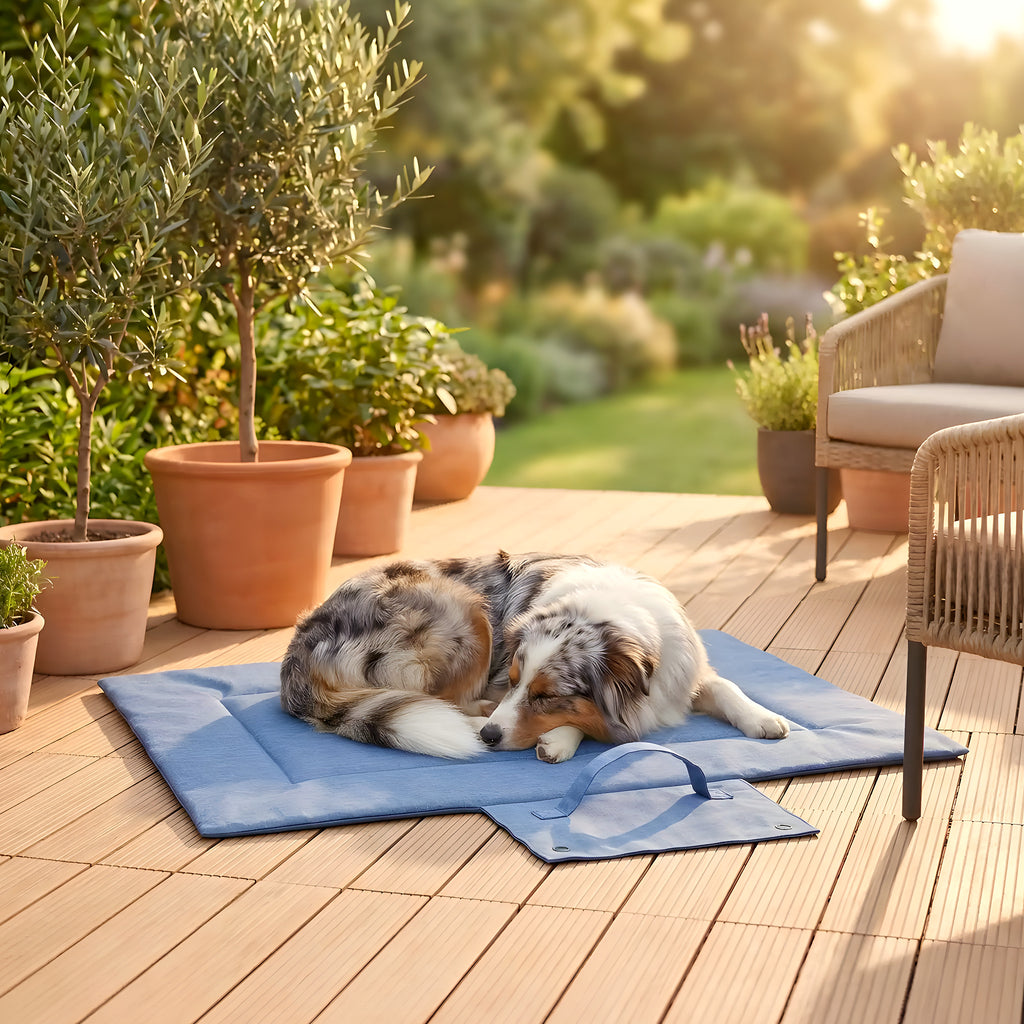 Tapis de voyage imperméable pour chien avec poignée