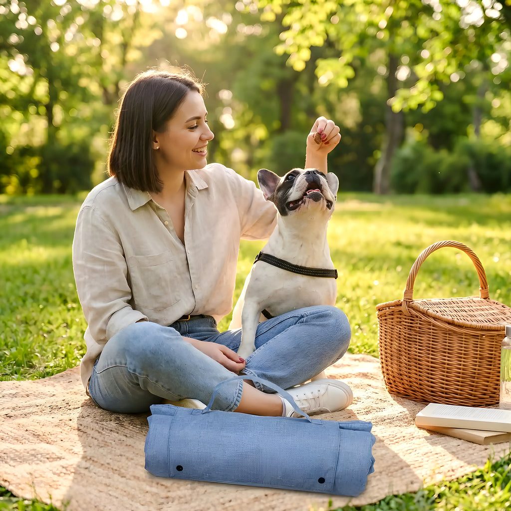 Tapis de voyage imperméable pour chien avec poignée