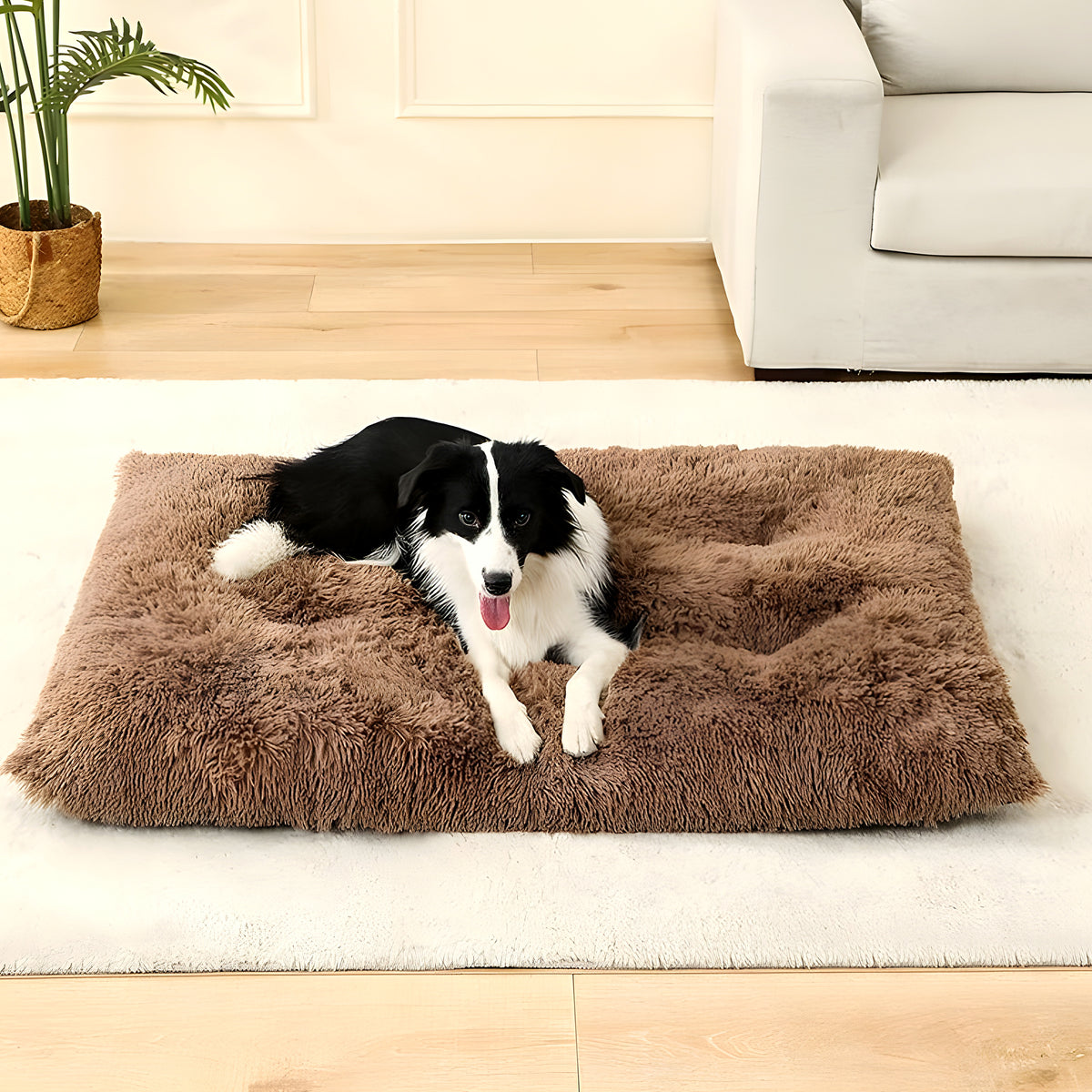 Tapis douillet en peluche à mémoire de forme pour chien