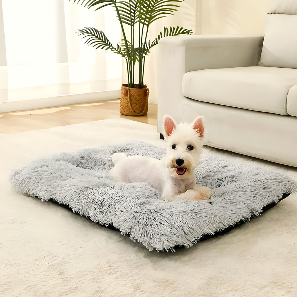 Tapis douillet en peluche à mémoire de forme pour chien