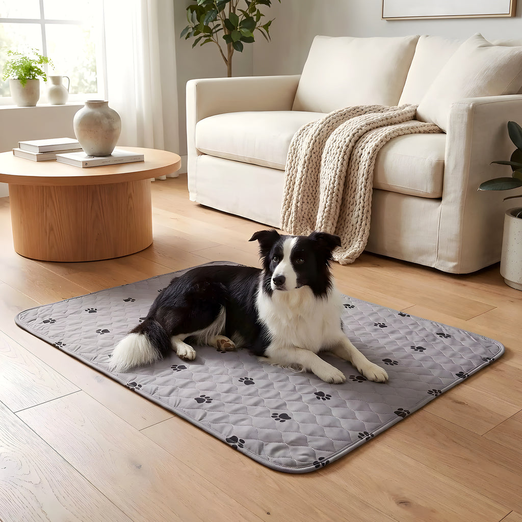 Tapis éducateurs lavables pour chiot, lot de 2