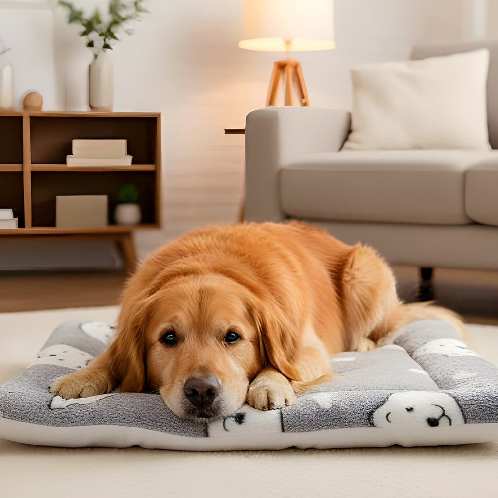 Tapis en flanelle ours rose, gris ou ourson pour chien