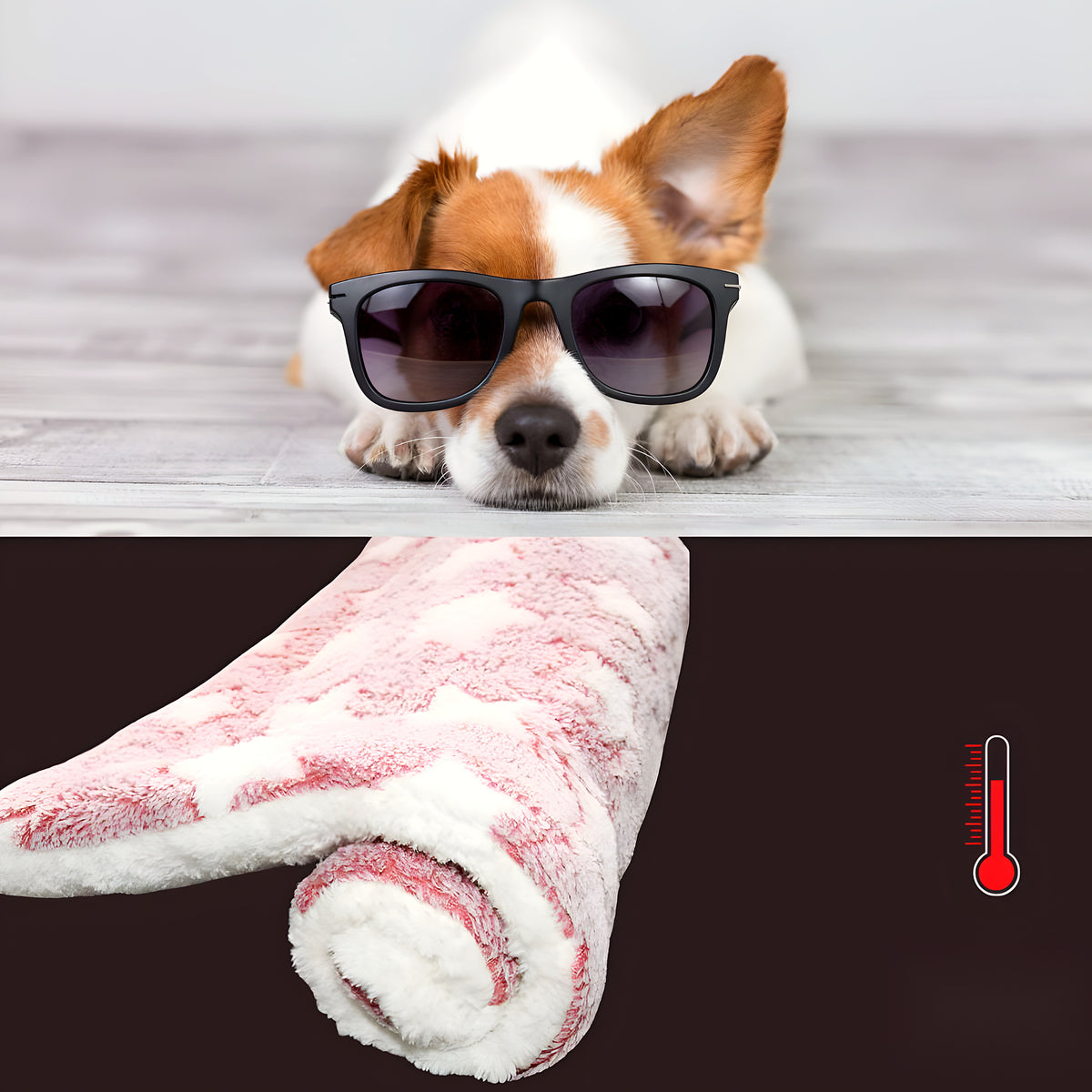 Tapis étoile durable et facile d'entretien pour chien
