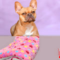 Tapis étoile durable et facile d'entretien pour chien
