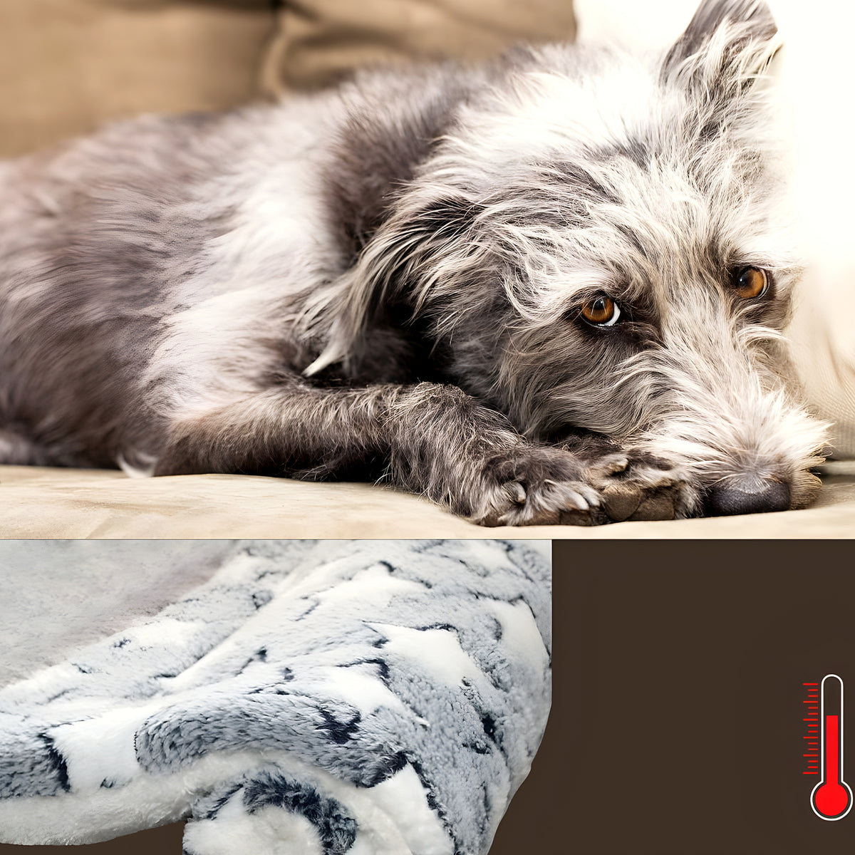 Tapis étoile durable et facile d'entretien pour chien