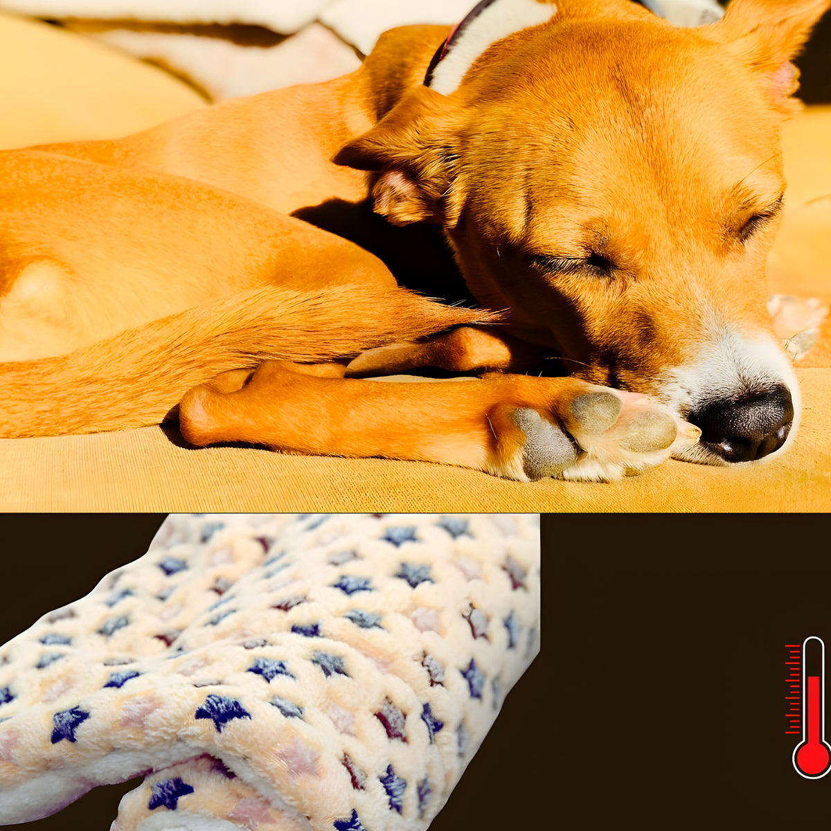 Tapis étoile durable et facile d'entretien pour chien