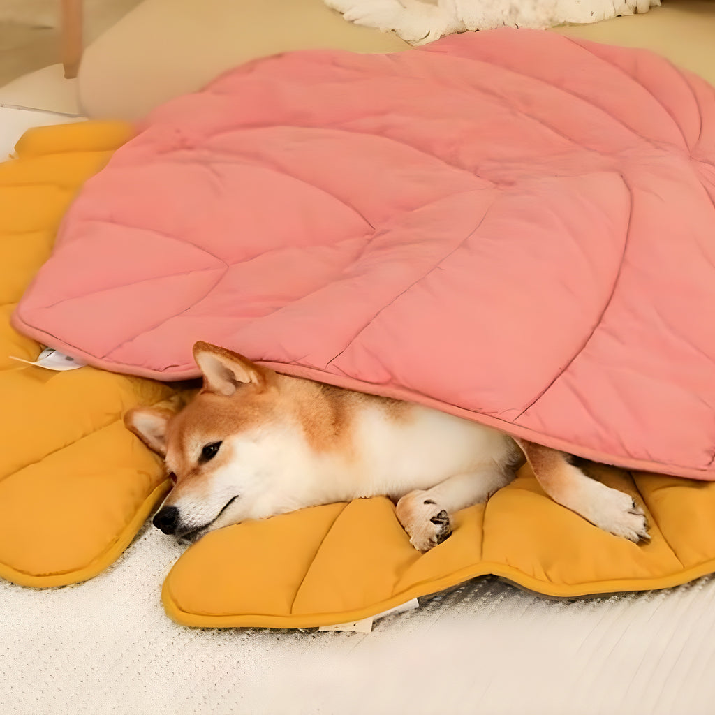 Tapis feuille déco hydrofuge pour chien