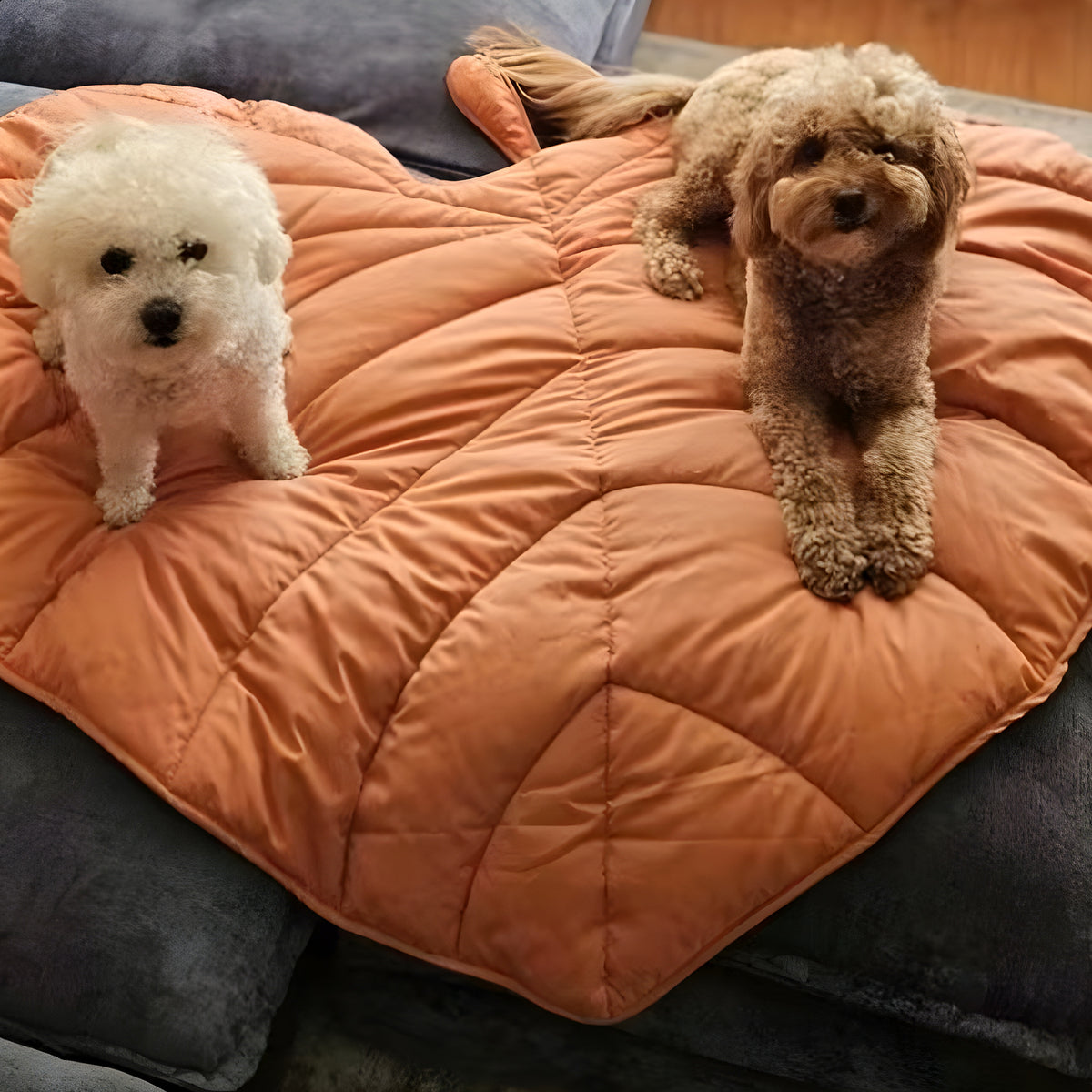 Tapis feuille déco hydrofuge pour chien