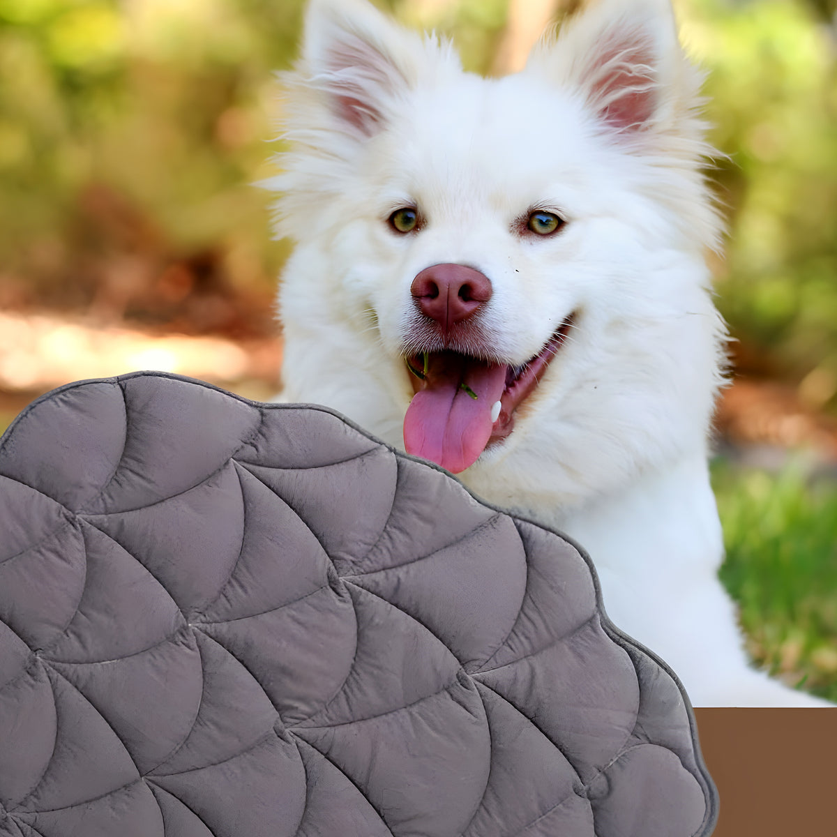 Tapis feuille déco hydrofuge pour chien
