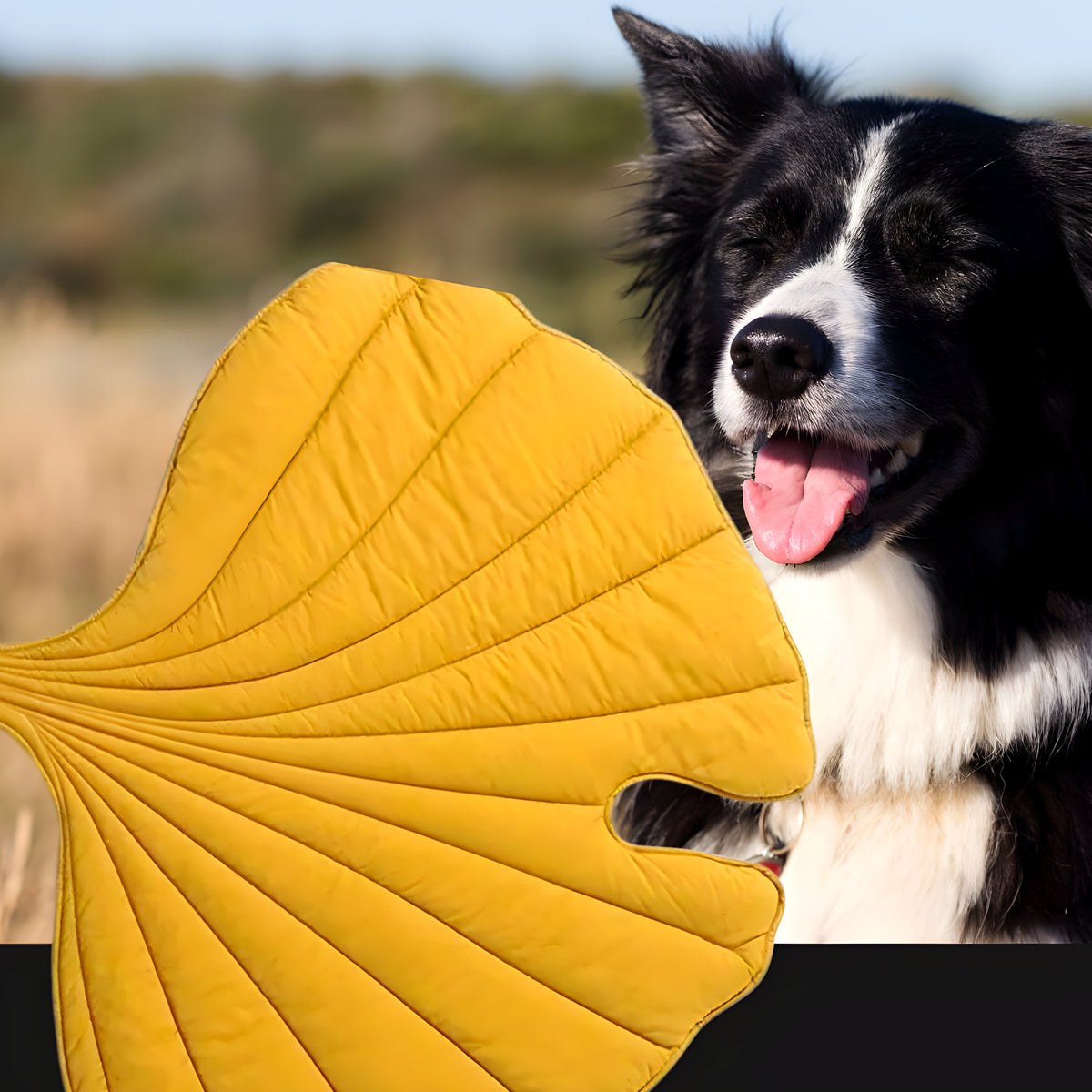Tapis feuille déco hydrofuge pour chien