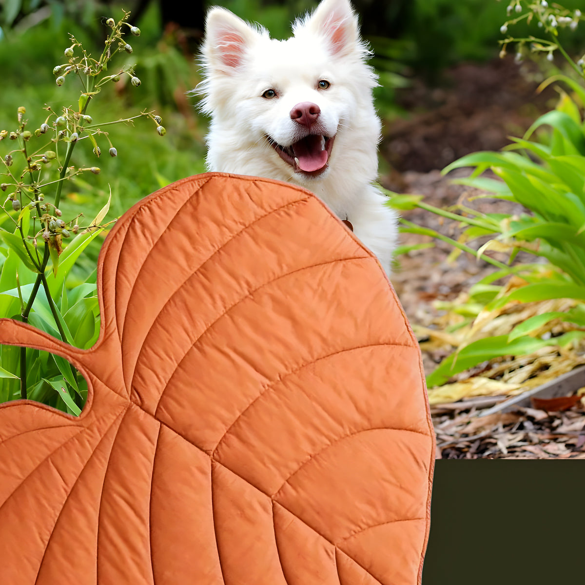 Tapis feuille déco hydrofuge pour chien