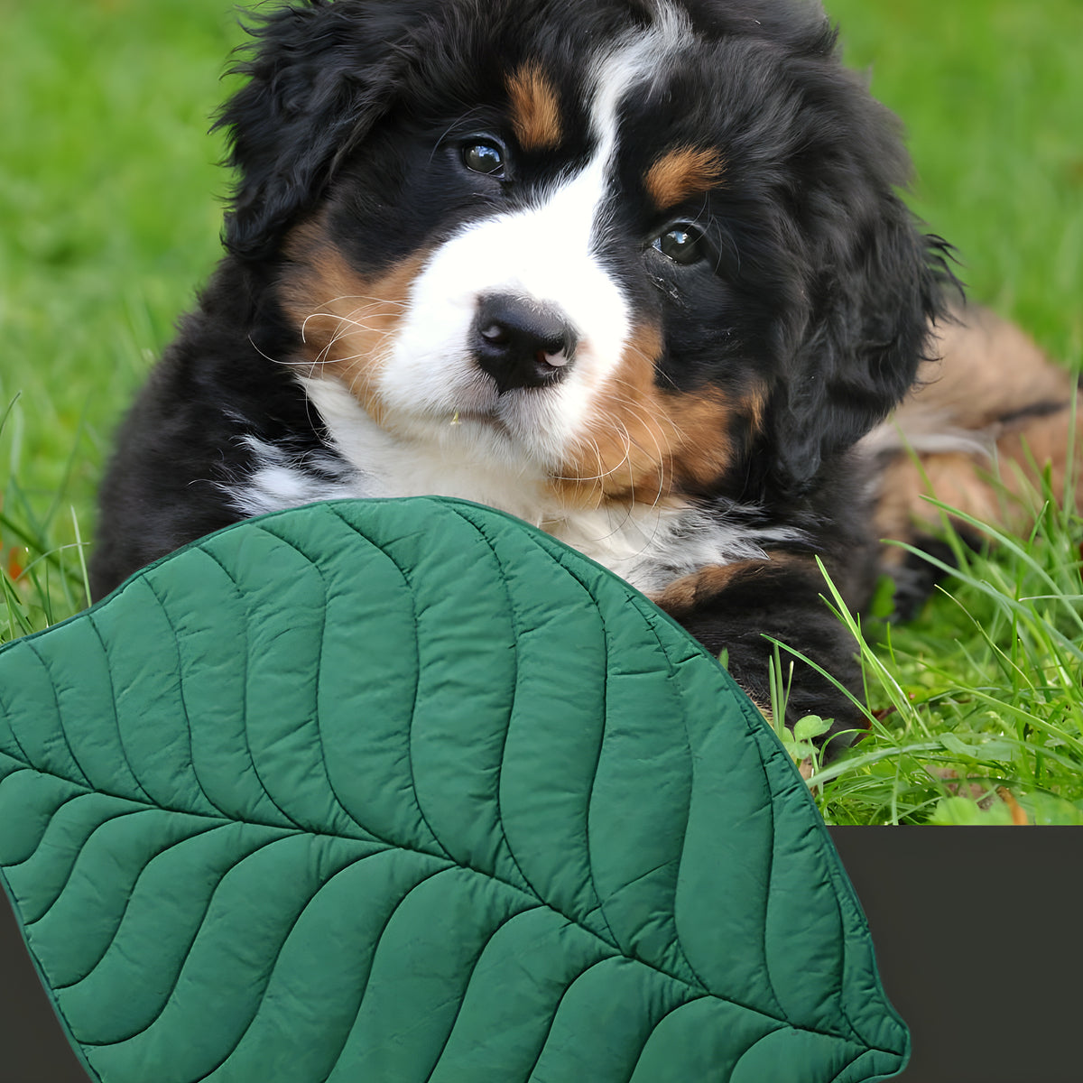 Tapis feuille déco hydrofuge pour chien