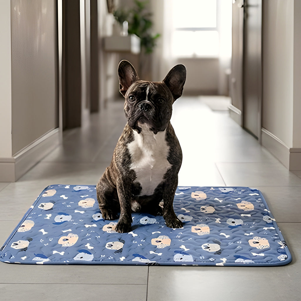 Tapis imperméable en coton rose ou bleu pour chien
