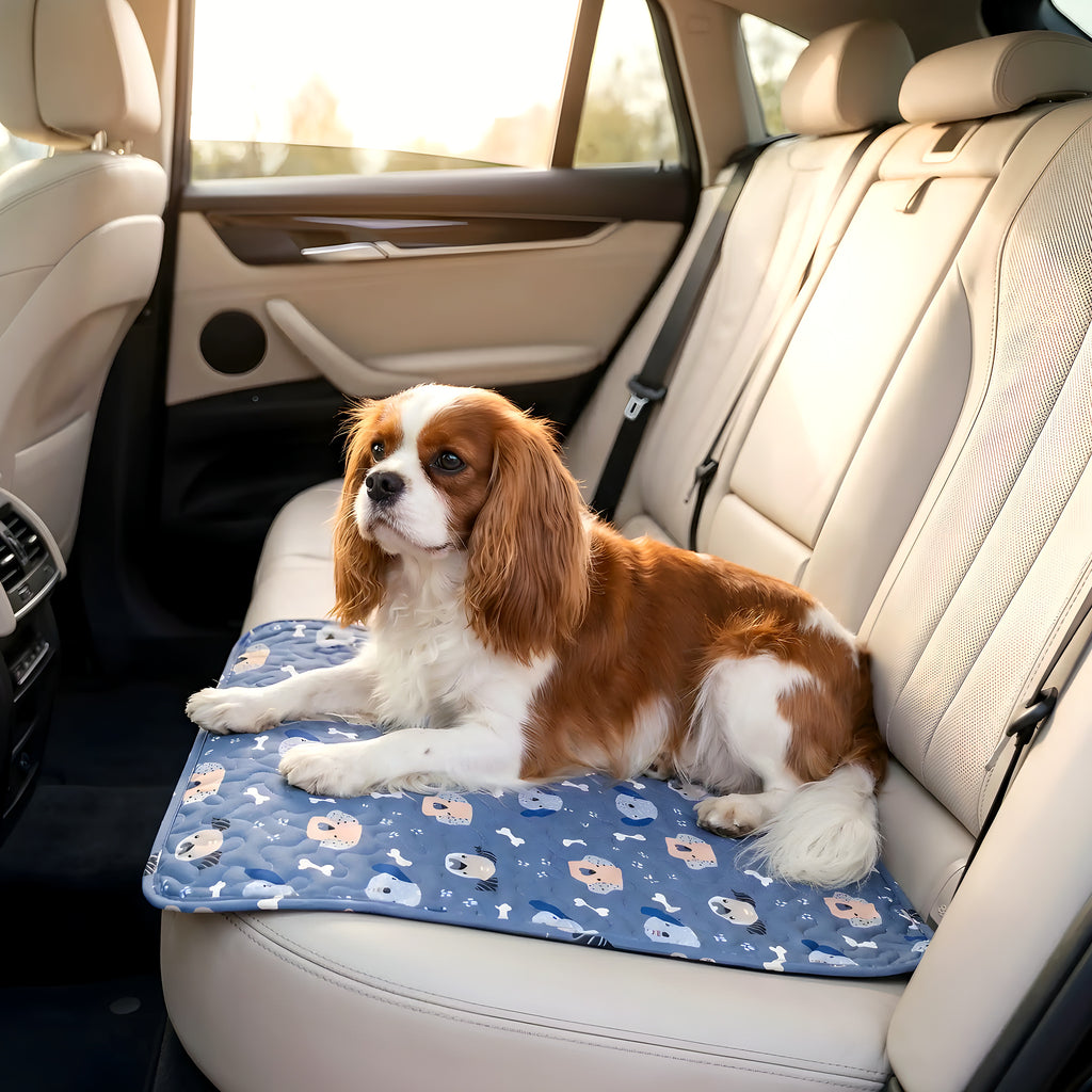 Tapis imperméable en coton rose ou bleu pour chien