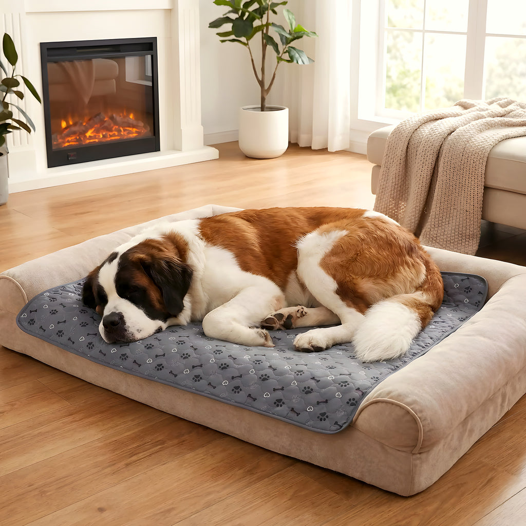 Tapis imperméable motif bouledogue français