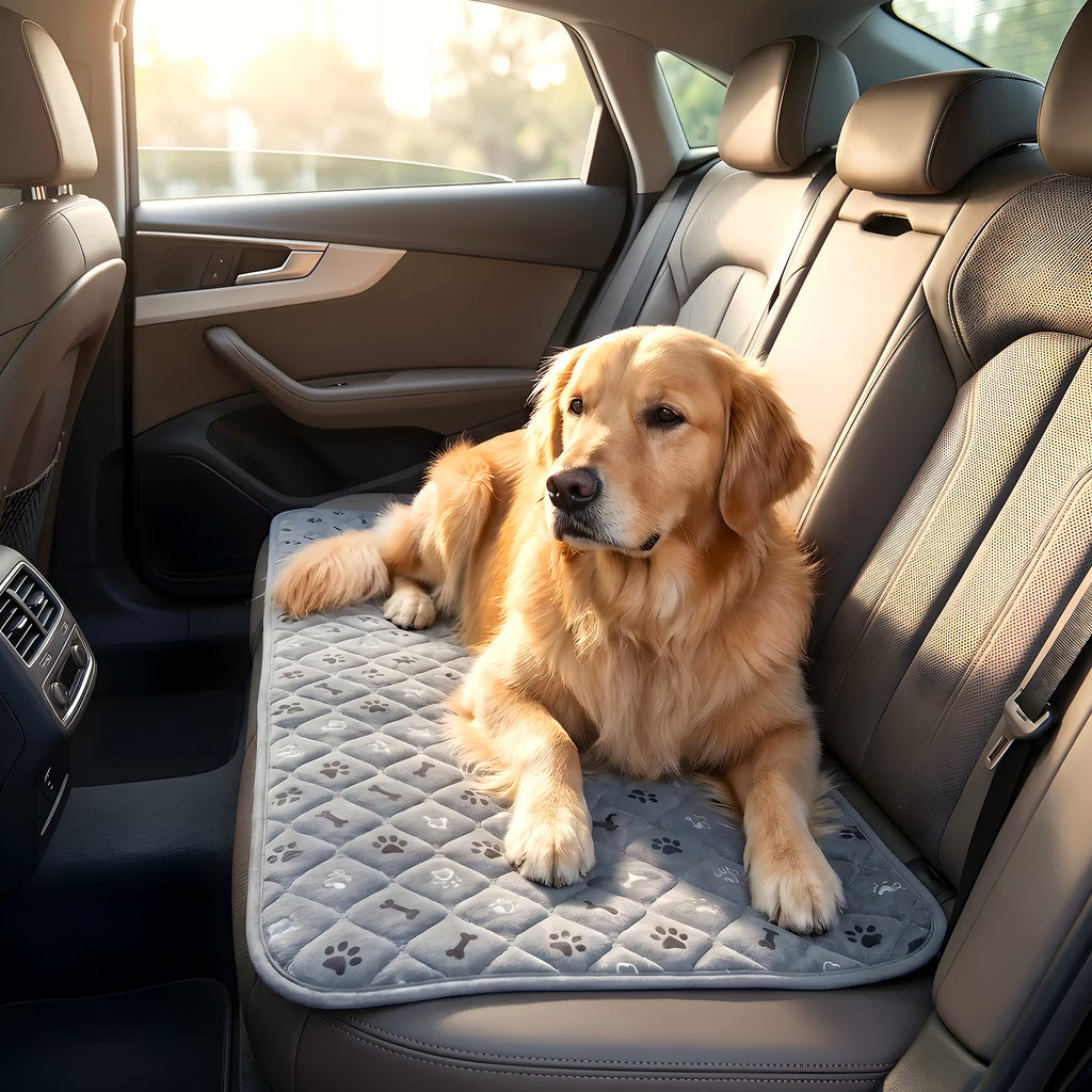 Tapis imperméable motif bouledogue français