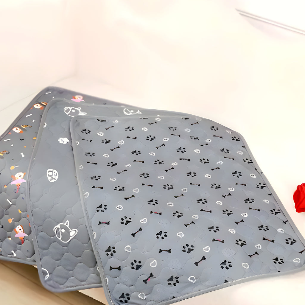 Tapis imperméable ultra-absorbant pour chien, 4 tailles