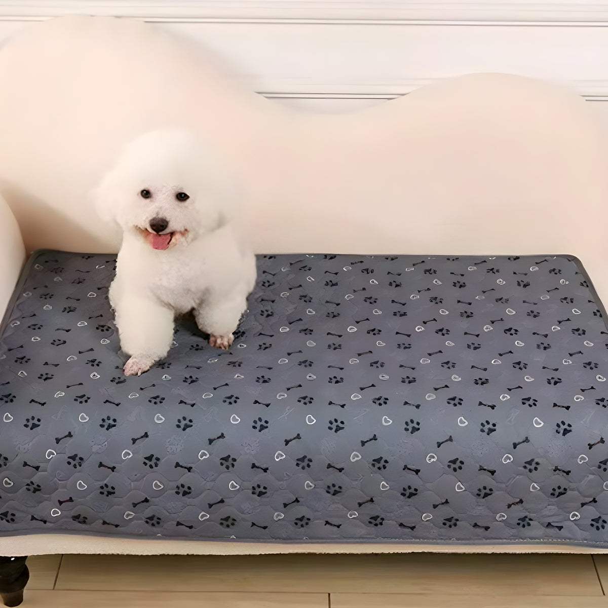 Tapis imperméable ultra-absorbant pour chien, 4 tailles