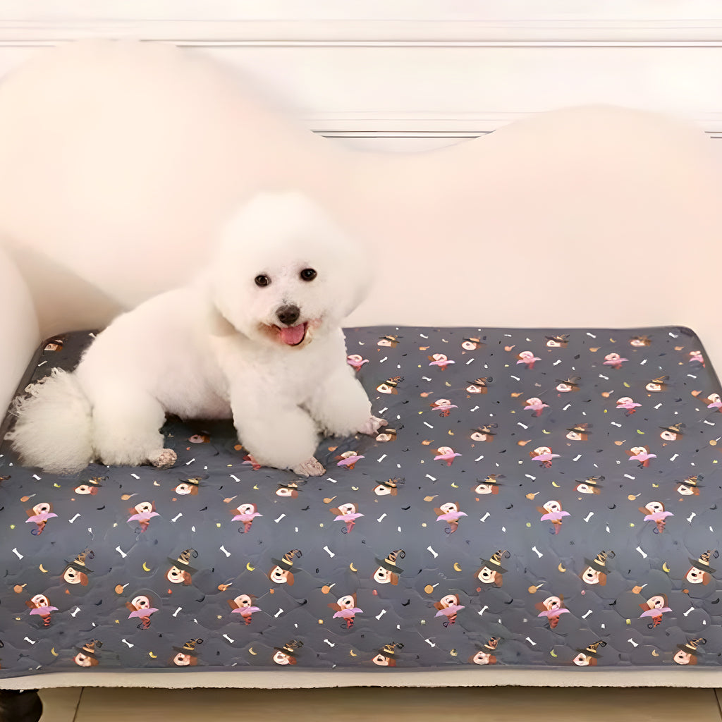 Tapis imperméable ultra-absorbant pour chien, 4 tailles