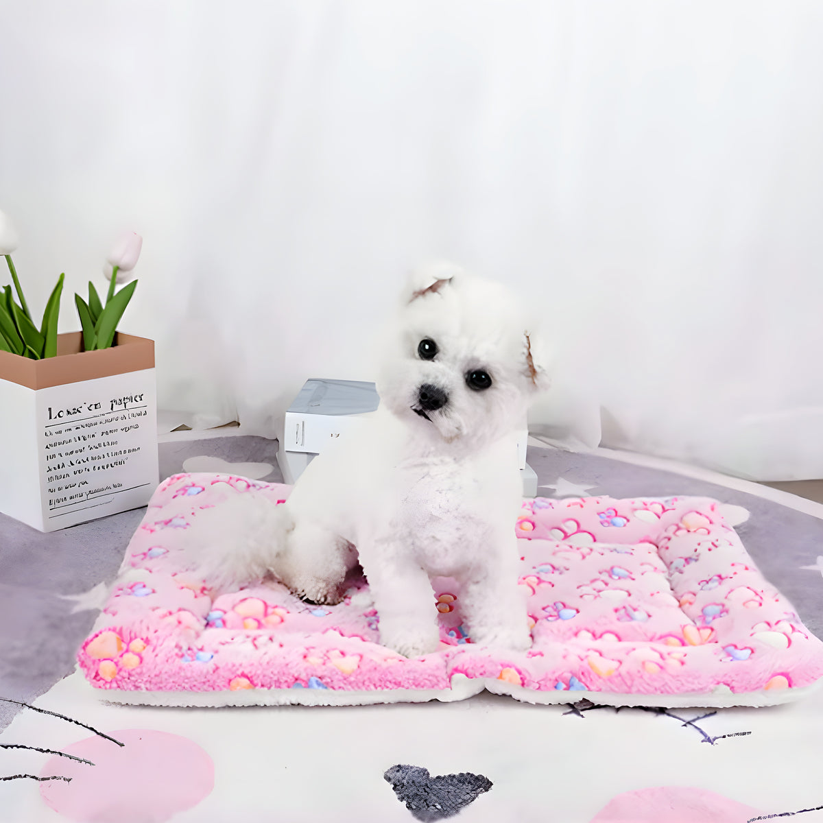 Tapis imprimé épais en coton et laine pour chien, S à L