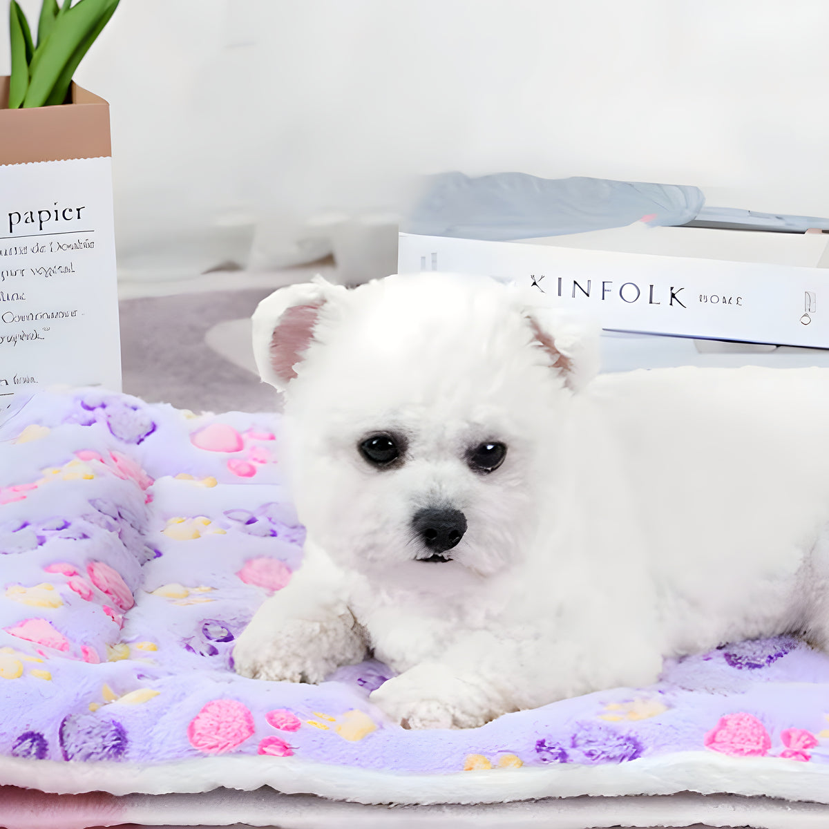 Tapis imprimé épais en coton et laine pour chien, S à L