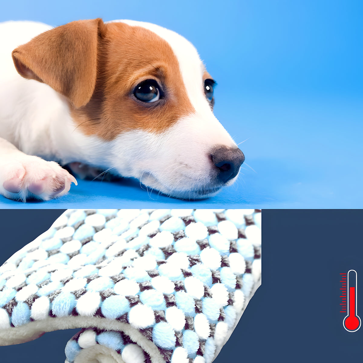 Tapis imprimé épais en coton et laine pour chien, S à L