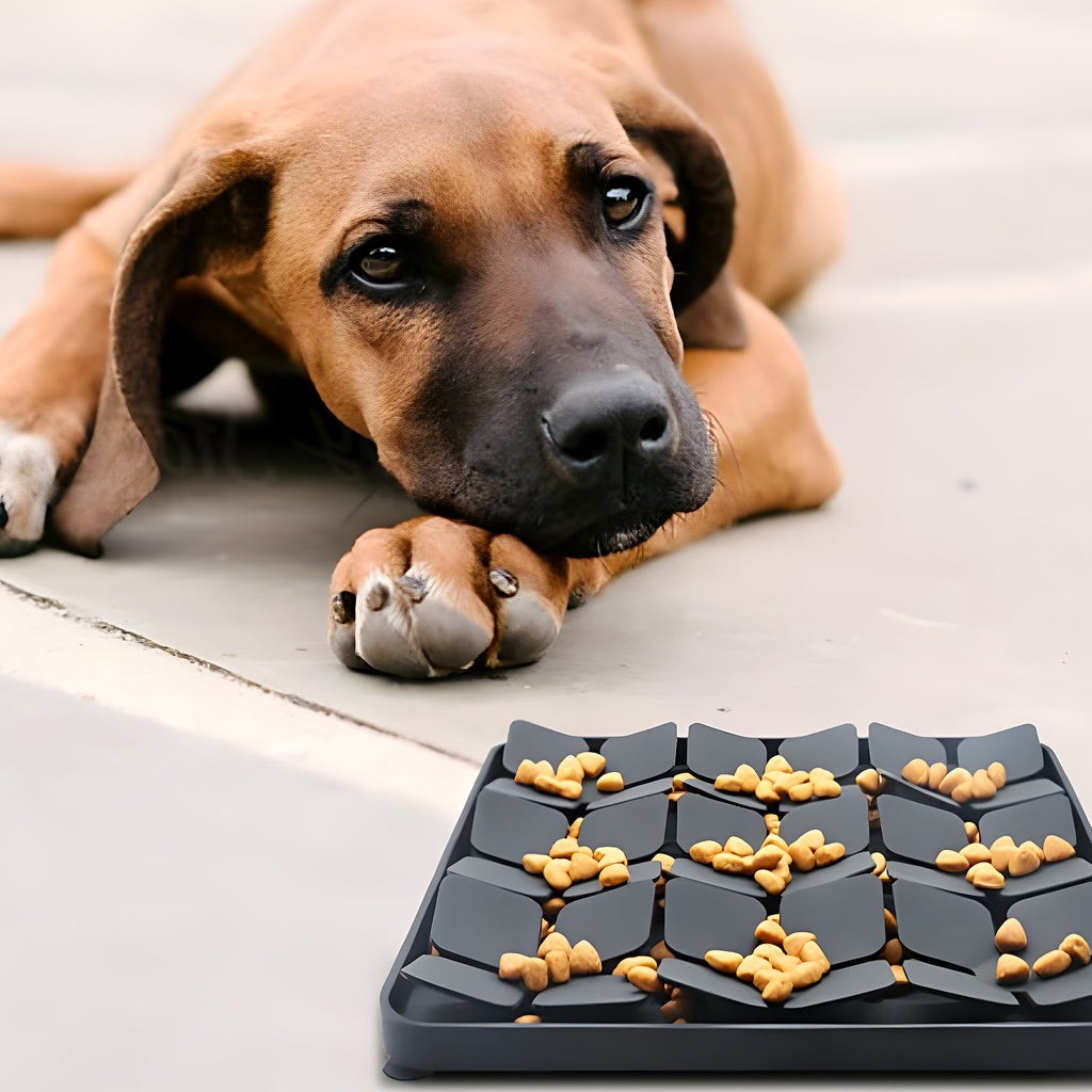Tapis labyrinthe anti-glouton en silicone pour chien