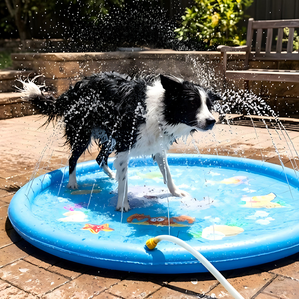 Tapis rafraîchissant à jets d'eau pour chien, 2 tailles