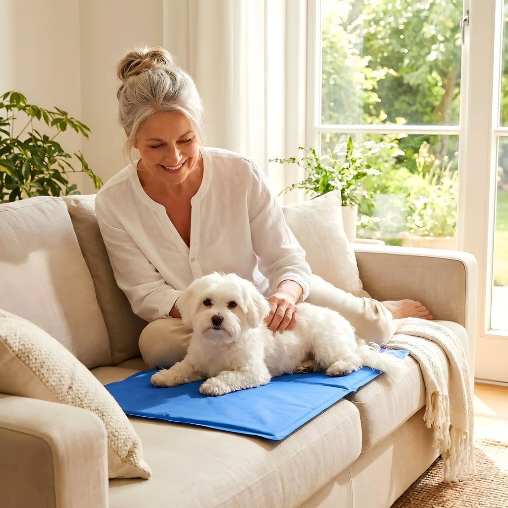 Tapis rafraîchissant au gel pour chien, 4 tailles