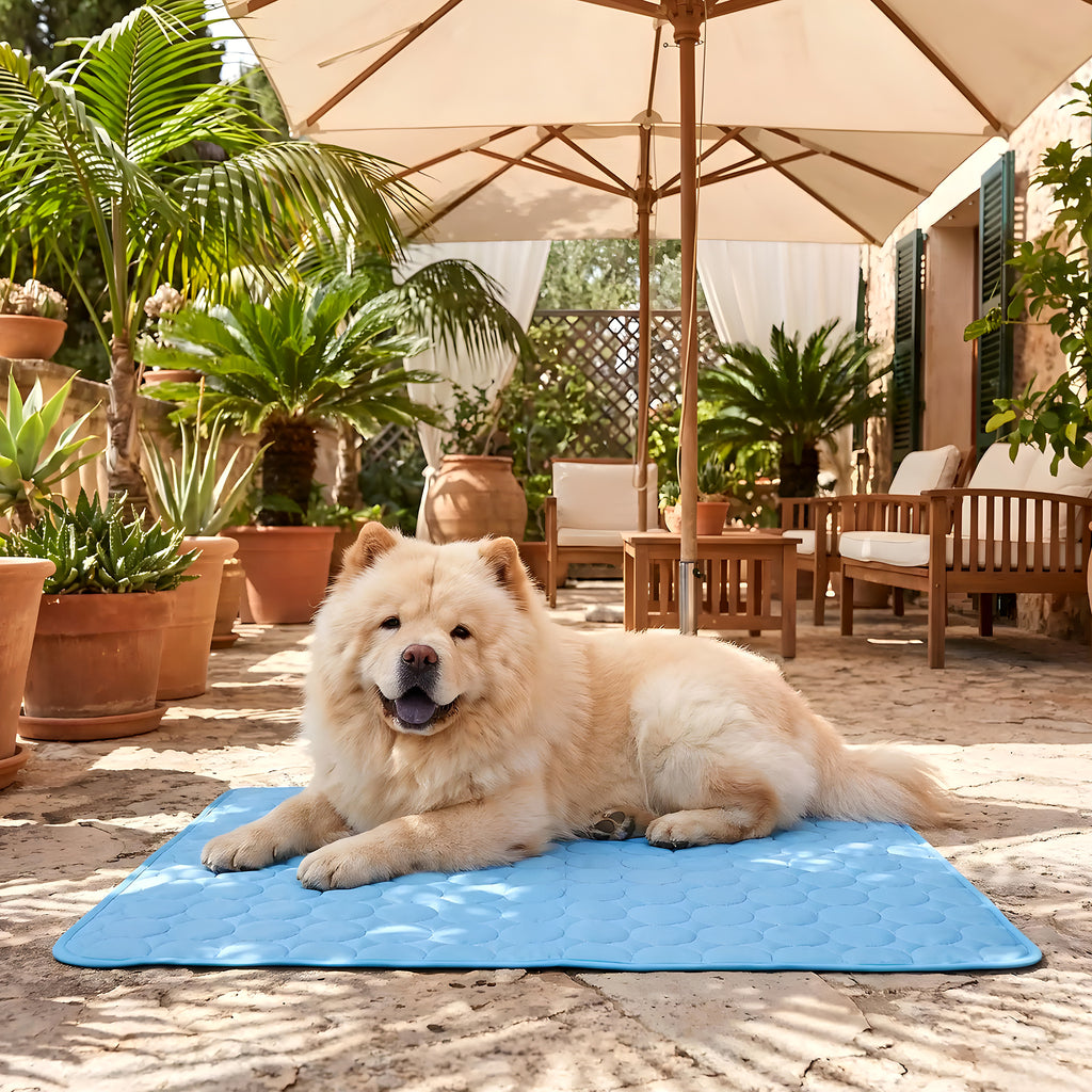 Tapis rafraîchissant en tissu glacé pour chien, M à XL