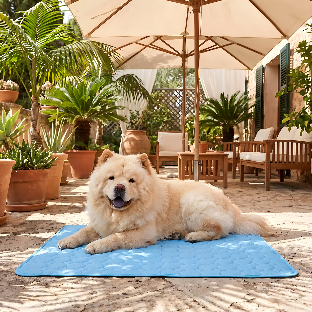 Tapis rafraîchissant en tissu glacé pour chien, M à XL