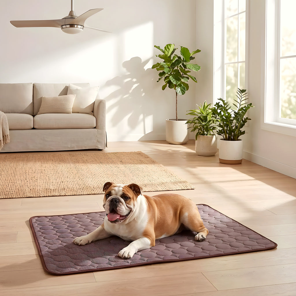 Tapis rafraîchissant en tissu glacé pour chien, M à XL