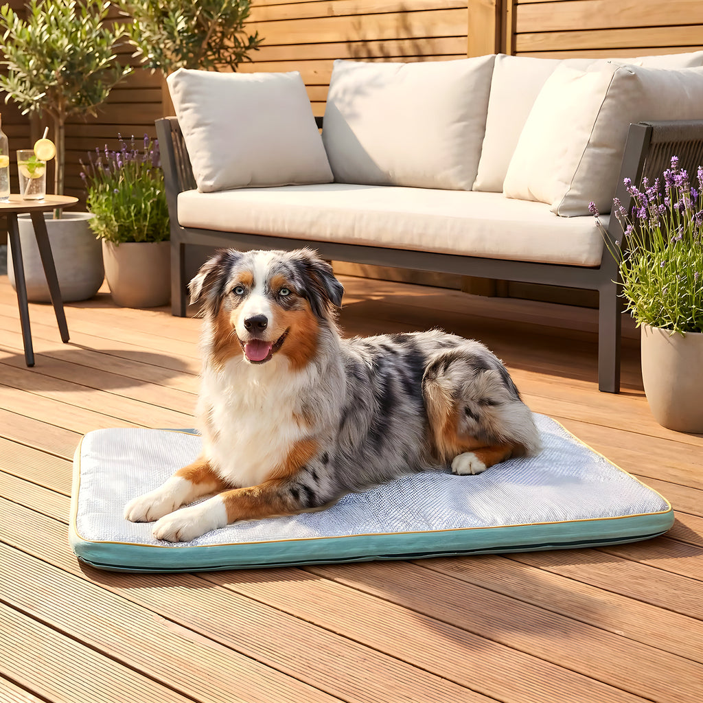 Tapis rafraîchissant orthopédique XXL pour chien
