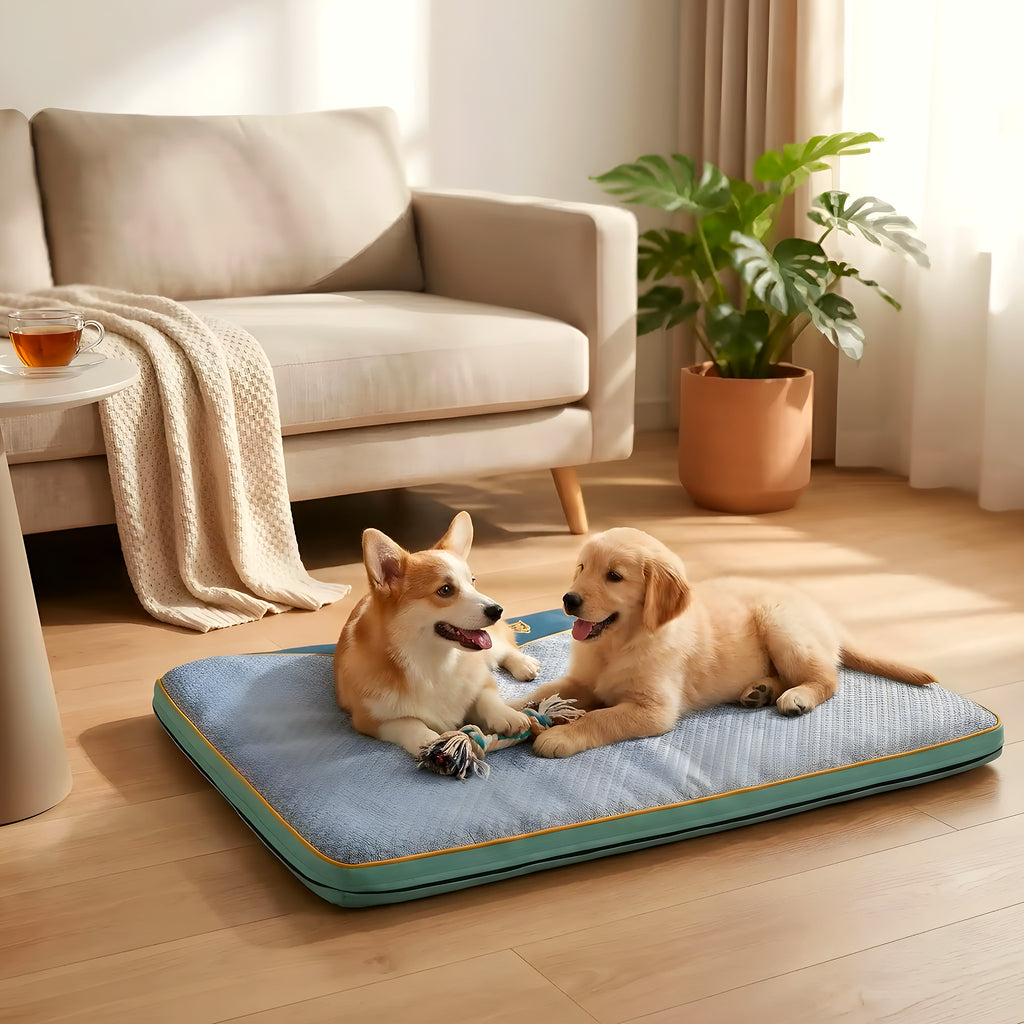 Tapis rafraîchissant orthopédique XXL pour chien
