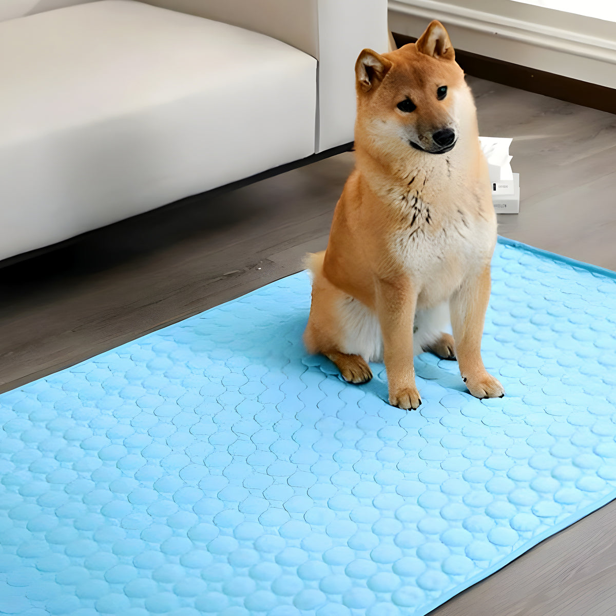 Tapis rafraîchissant pour chien, S à XL