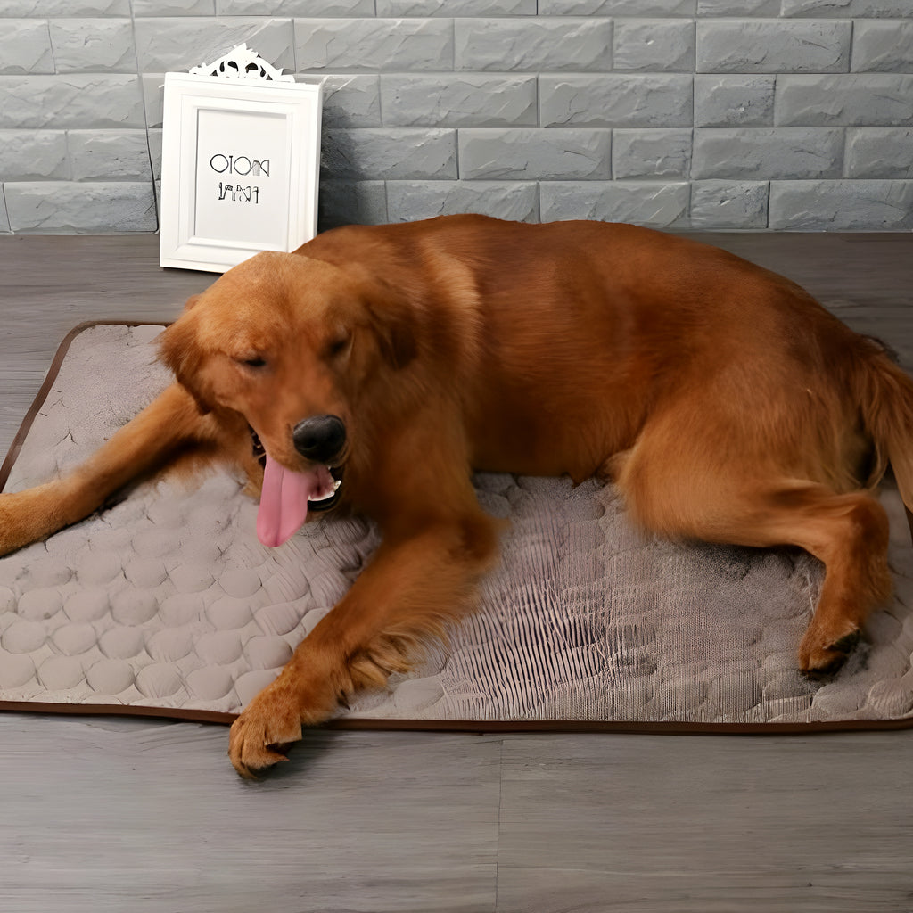 Tapis rafraîchissant pour chien, S à XL