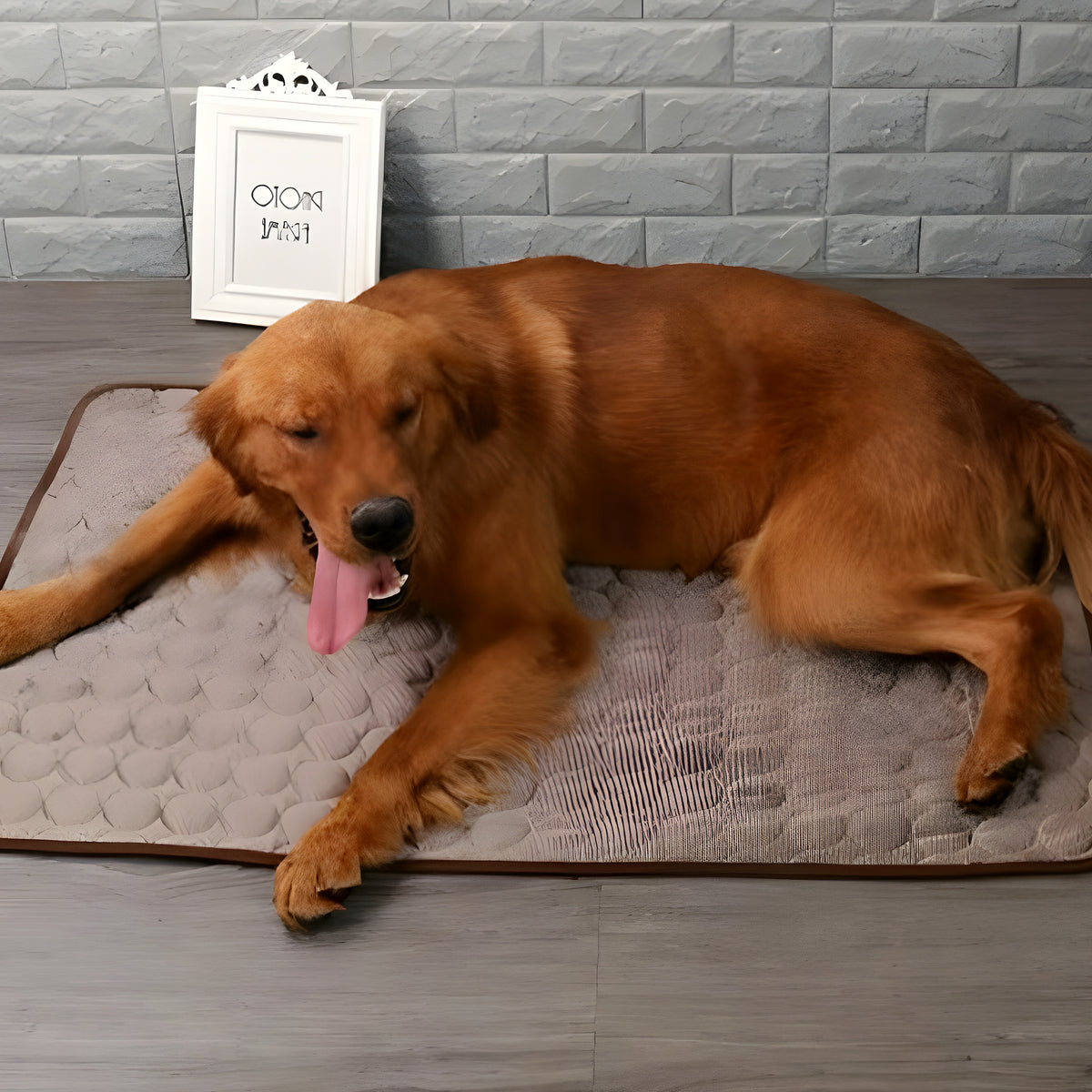 Tapis rafraîchissant pour chien, S à XL