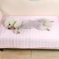 Tapis rafraîchissant pour chien, S à XL